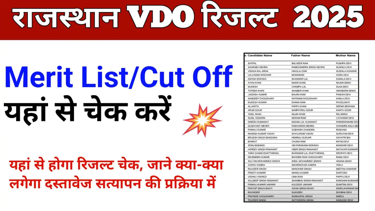 Rajasthan VDO Result 2025